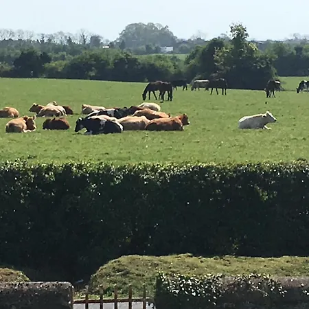 The Henhouse, Duffys Of Ballybin, 4-star Ashbourne